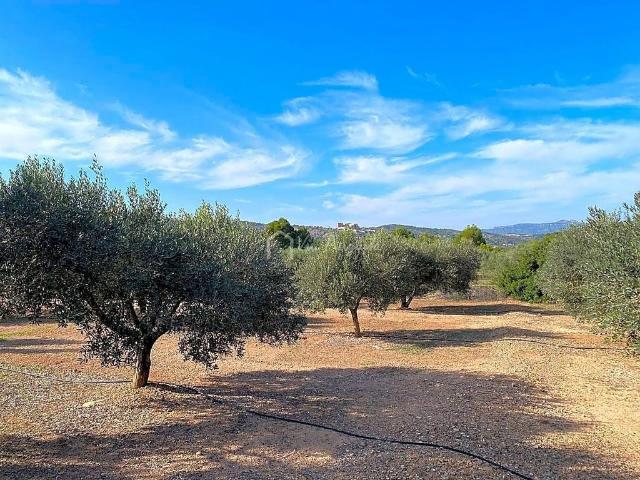 Terreno en venta en Rasquera, de 13.830 m² por 45.000