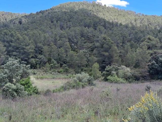 Terreno en Venta en Rasquera