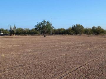 TERRENO EN VENTA EN REAL DEL ALAMITO