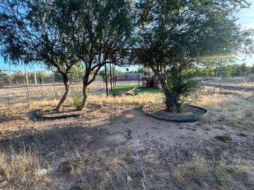 TERRENO EN VENTA EN REAL DEL CATORCE