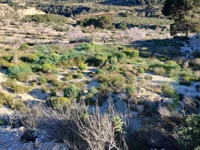 Terreno en Venta en Relleu