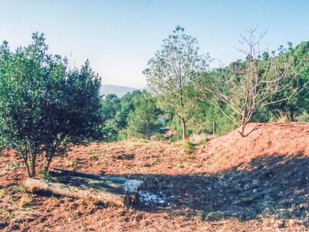 Terreno en venta en Rellinars, El planet