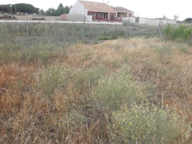 Terreno en Venta en Remondo