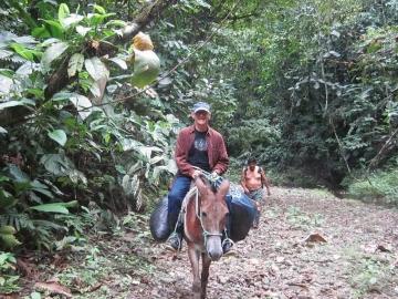 Terreno En Venta en Reserva Mache Chindul, Muisne Ecuador