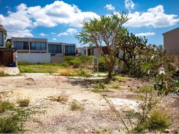 Terreno en Venta en Residencial El Molino, Lomas Del Molino II 246 m2