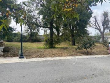 Terreno en Venta en Residencial Los Molinos