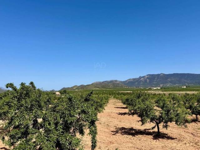 Terreno en Venta en Ricote