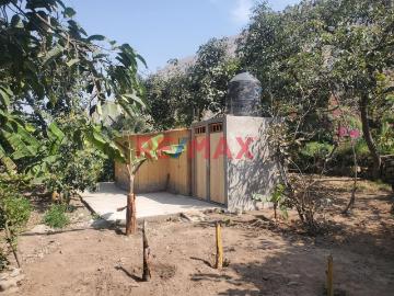 Terreno en venta en Ricardo Palma a S/265,500