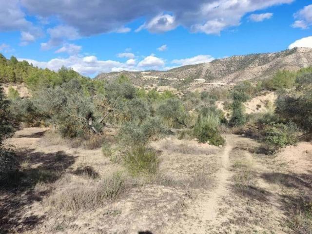 Terreno en Venta en Riba Roja d'Ebre