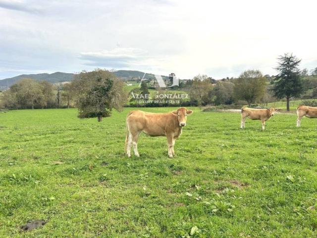 Terreno en Venta en Ribamontán Al Monte