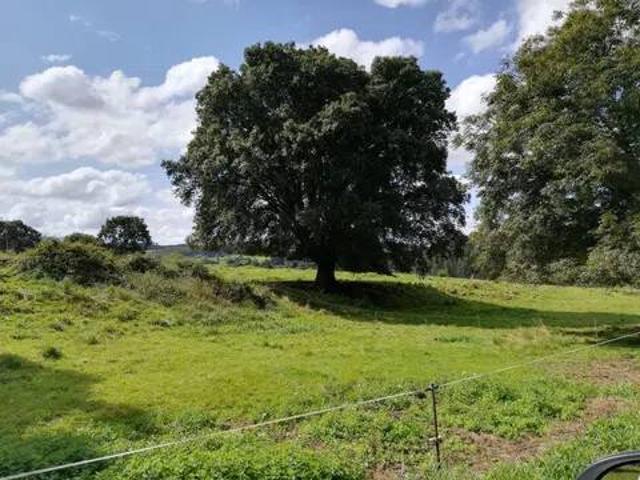 Terreno en Venta en Ribamontán Al Monte