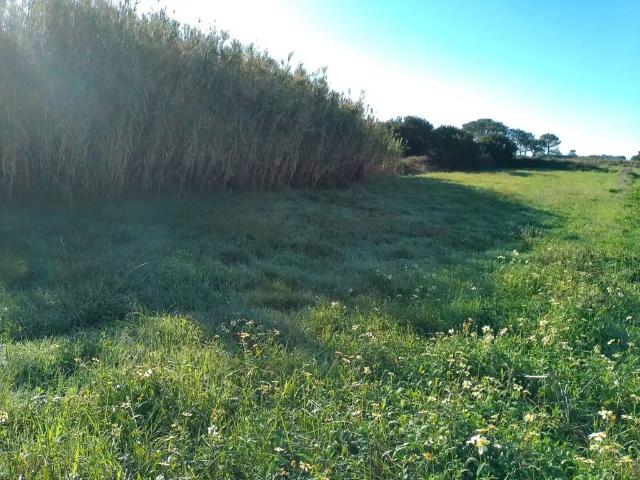 Terreno en Venta en Ribeira