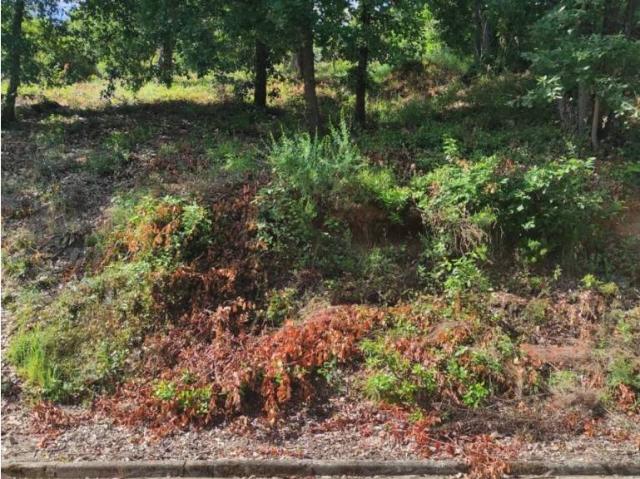 Terreno en Venta en Riells i Viabrea