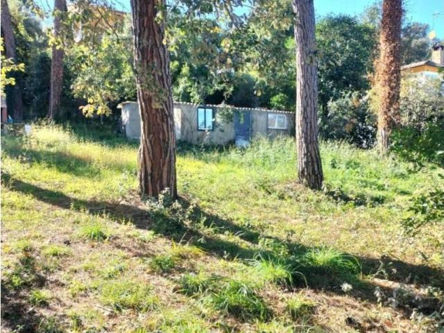 Terreno en Venta en Riells i Viabrea