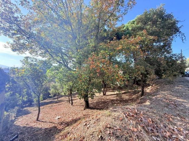 Terreno en Venta en Riells i Viabrea