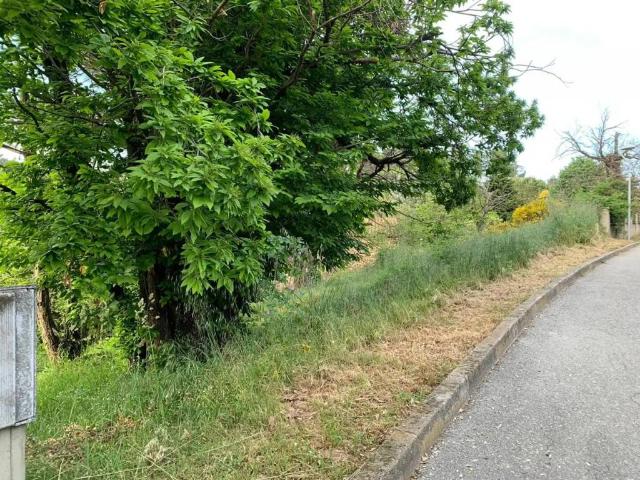 Terreno en Venta en Riells i Viabrea