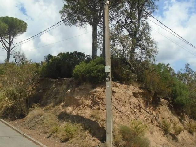 Terreno en Venta en Riells i Viabrea
