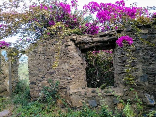 Terreno en Venta en Moclinejo