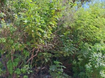 Terreno en Venta en Rinconada El Cardonal, La Paz, B.C.S