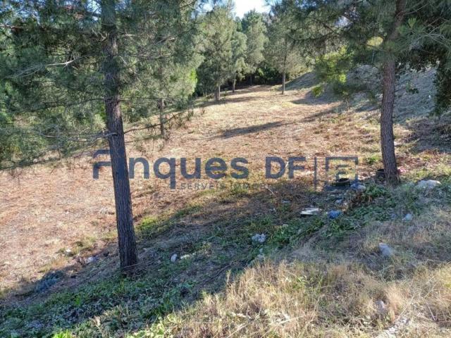 Terreno en Venta en Riudarenes