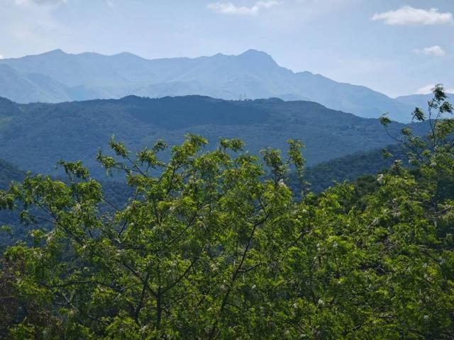 Terreno en Venta en Riudarenes