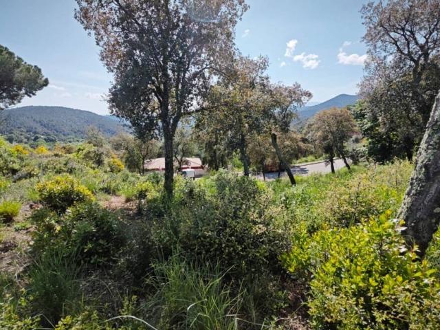 Terreno en Venta en Riudarenes