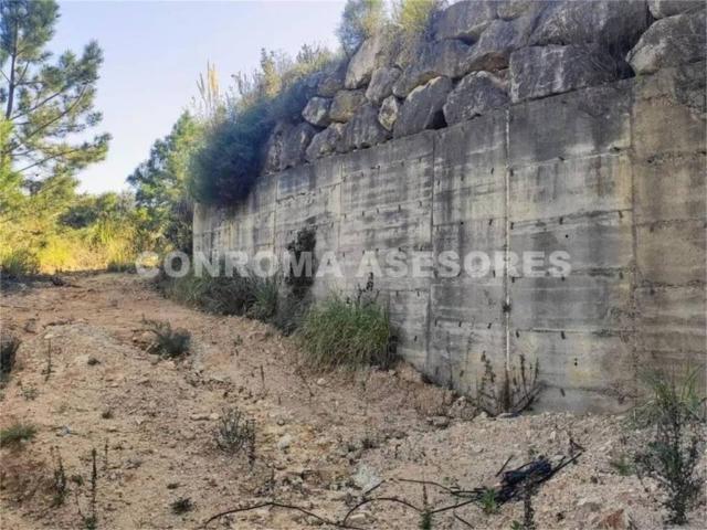 Terreno en Venta en Riudarenes