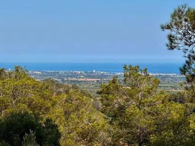 Terreno en Venta en Riudecanyes