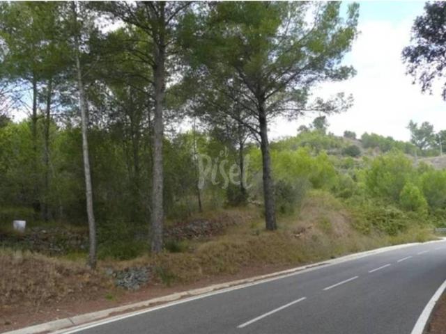 Terreno en Venta en Riudecanyes