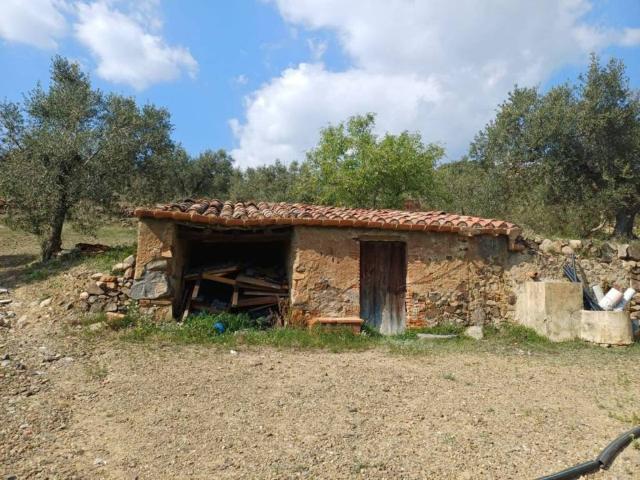 Terreno en Venta en Riudecanyes