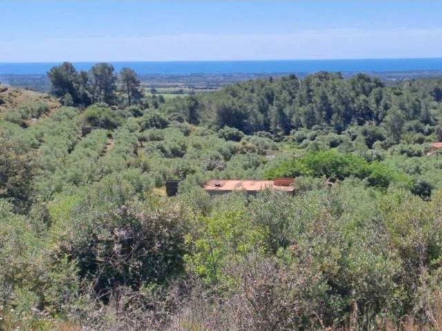 Terreno en Venta en Riudecanyes