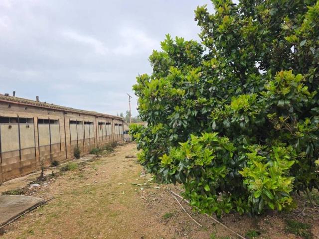 Terreno en Venta en Riudecanyes