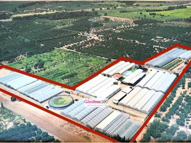 Terreno en Venta en Riudoms
