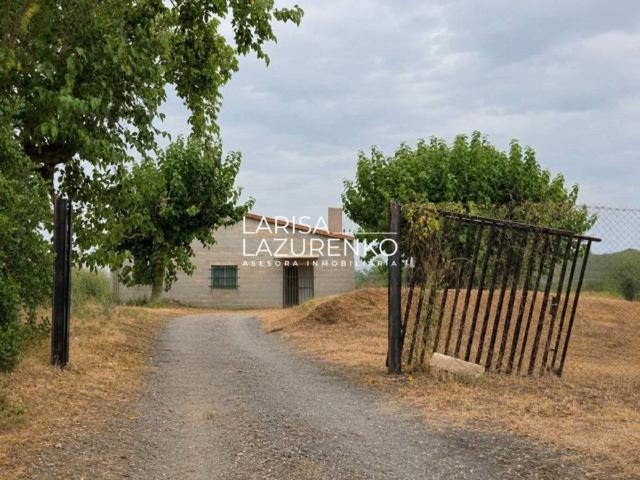 Terreno en Venta en Riudoms