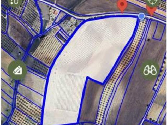 Terreno en Venta en Rociana del Condado