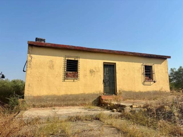 Terreno en Venta en Rociana del Condado