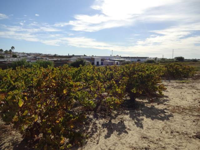 Terreno en venta en Rociana del Condado, Rociana Del Condado