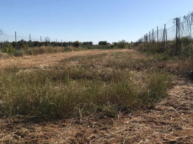 Terreno en venta en Rociana del Condado, Rociana Del Condado