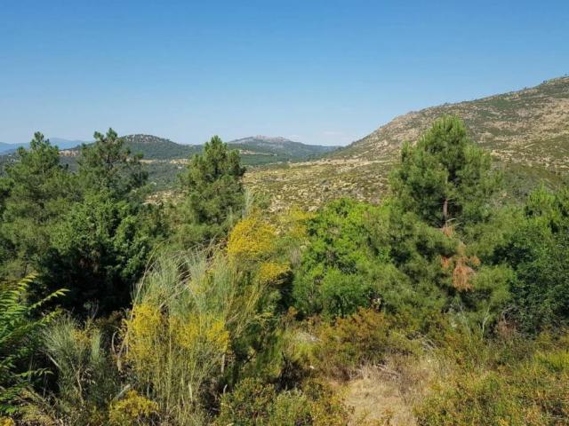 Terreno en Venta en Robledo de Chavela