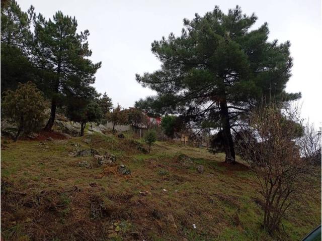 Terreno en Venta en Robledo de Chavela