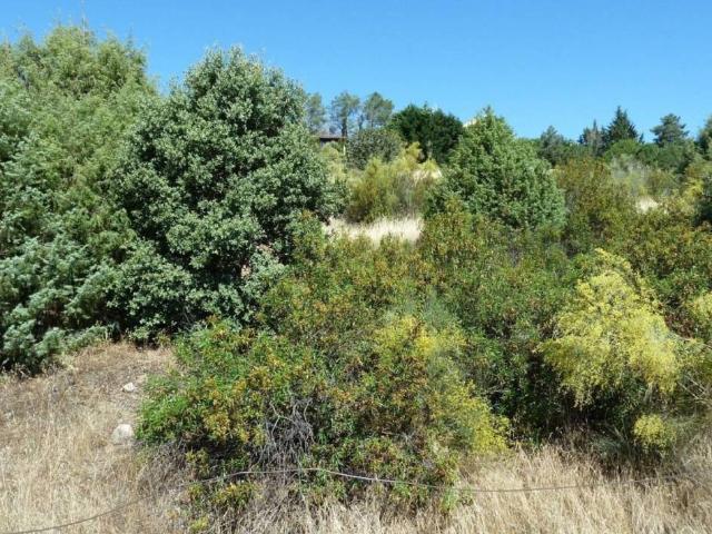 Terreno en Venta en Robledo de Chavela