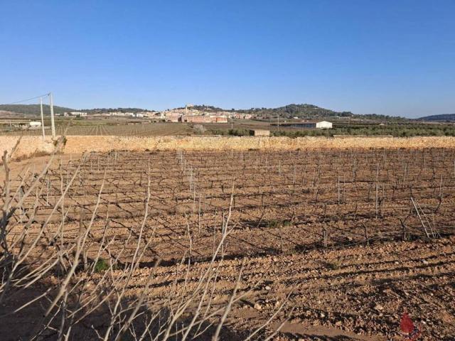 Terreno en Venta en Rodonyà