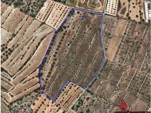 Terreno en Venta en Rodonyà