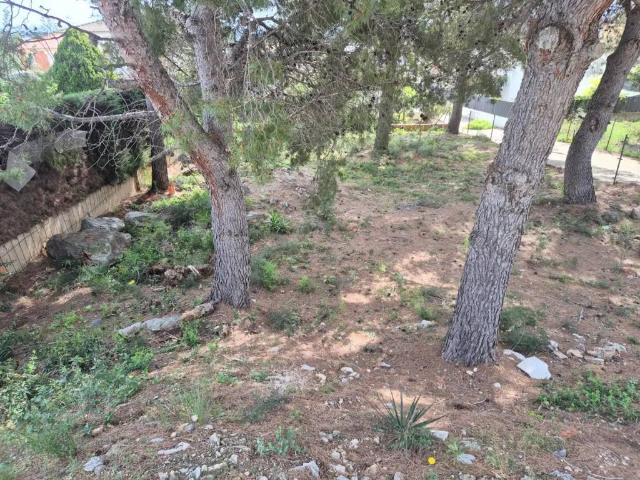 Terreno en Venta en Roda de Berà