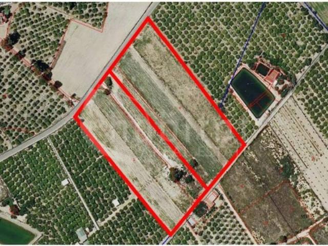 Terreno en Venta en Rojales