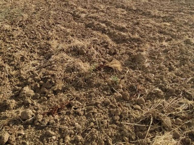 Terreno en Venta en Rollán