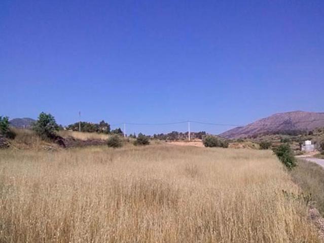 Terreno en venta en Romana la