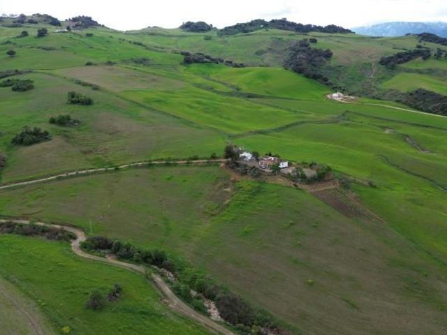 Terreno en venta en Ronda, Andalucia