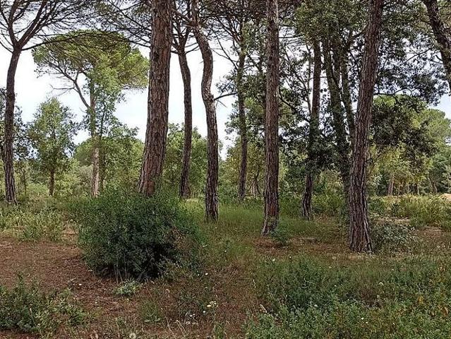 Terreno en venta en ronda Goba, Vidreres, de 1.904 m² por 110.000