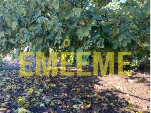 Terreno en Venta en Ronda